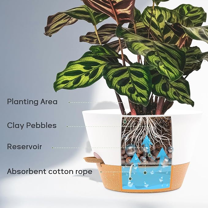 12 Inch Self Watering Pot with Visual Water Window, Drainage Holes & Watering Lip, Set of 2 Large Plastic Planters for Indoor Outdoor Plants, Modern Decorative Flower Pot (White)
