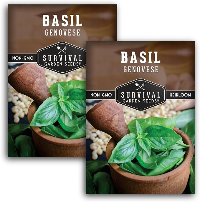 Genovese Basil Seeds for Planting – Survival Garden Seeds (2 Pack) | Sweet Italian Herb for Pesto & Culinary Dishes – High Germination Heirloom, Non-GMO Seed for Growing Indoors or Outdoors