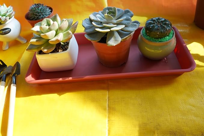 VUWEZ 6 Pack Rectangular Plastic Plant Tray Saucer, Terracotta, 6 X 11 Inch, 100lbs Weight Capacity, Indoor/Outdoor, Windowsill Planter Tray
