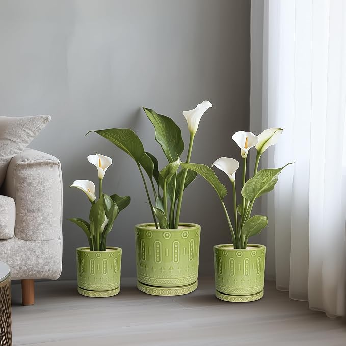 Eightpot Ceramic Flower Pots, 6 Inch Planter for Indoor Plants Outdoor, Round Pots for Plants with Drainage Hole and Tray, Modern Decorative Plant Pot, Bathroom Decor, Green