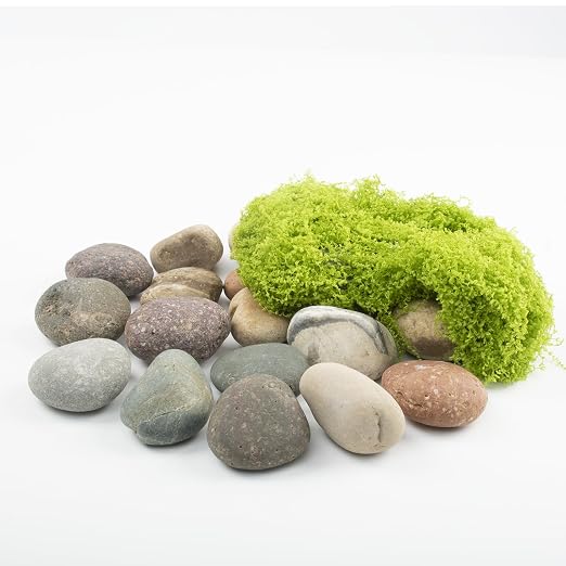 20 LBS River Rocks for Plants - 1-2 inch Natural Stones, Screened Decorative River Rocks for Landscaping, Garden Pathway, Plant Stones, Craft Walkways, and Outdoor Decorative