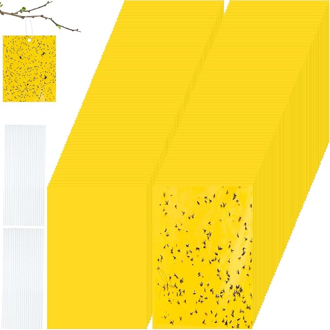 Qualirey 200 Pcs 2.7 x 3.9 Inch Small Yellow Sticky Traps for Plant Double Sided Sticky Trap for Gnats with Twist Ties Fly Traps for Fruit Insect Fungus Bugs Indoor Outdoor