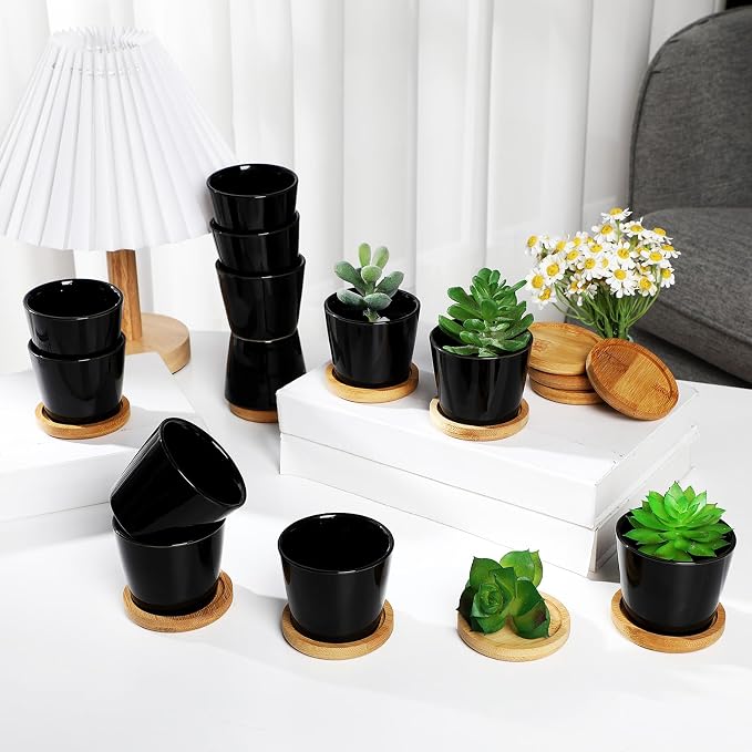 Hsei 24 Pack 2.5 Inch Mini Succulent Plant Pots Small Ceramic Flower Pot with Bamboo Tray Garden Cactus Herb Container Home Office Decoration for Birthday Graduation Wedding Favor Gifts (Black)