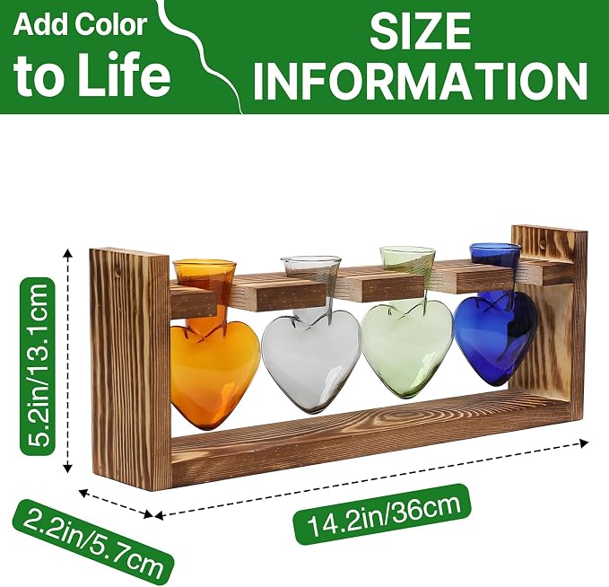 Plant Propagation Stations Heart Plant Terrarium Kit | Gift for Women Plant Lover Glass Vases