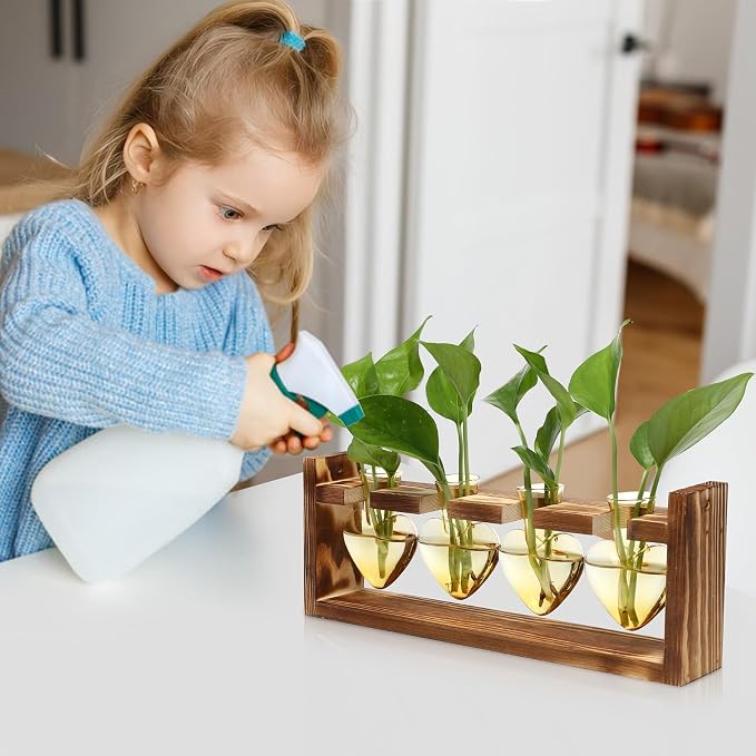Plant Propagation Stations Heart Plant Terrarium Kit | Gift for Women Plant Lover Glass Vases