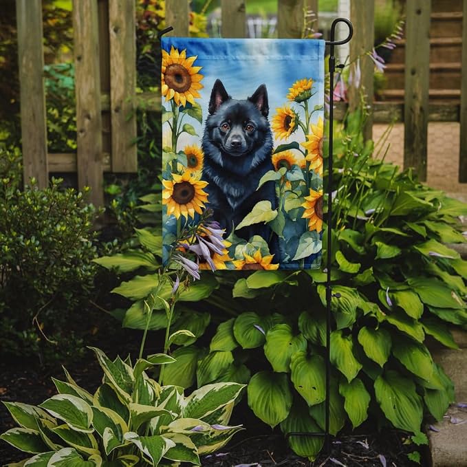 Caroline's Treasures DAC6155GF Schipperke in Sunflowers Garden Flag Mailbox Flag Decorative Yard Flag Banner Outside Patio Artwork Yard Flower Beds, Garden Size, Multicolor