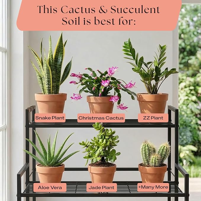 Rosy Soil Cactus & Succulent Potting Mix, 4 Quarts, Pack of 2 | Organic Succulent Potting Soil, Chunky Fast Draining, Peat-Free, Root Boosting Mix, For AloeVera, Cacti, Indoor Succulents