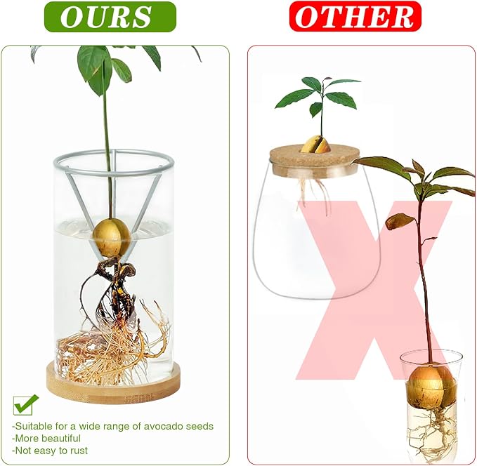 2 Pack Avocado Tree Growing Kits, Avocado Growing Vase Wooden Base Avocado Seed Starter Vase Glass Plant Pot Easy Seed Sprout Starter Gift for Women Gardening Lovers Home Office Table Decoration