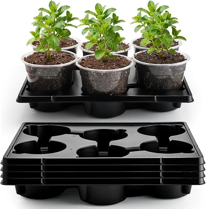 RooTrimmer 30 Pack 6 Inch Clear Nursery Pots and 5 Pack 6 Cell Round Plant Pot Trays, Sturdy Seeds Starting Germination Shuttle Carrying Trays, Planter Nursery Propagation 5 Sets