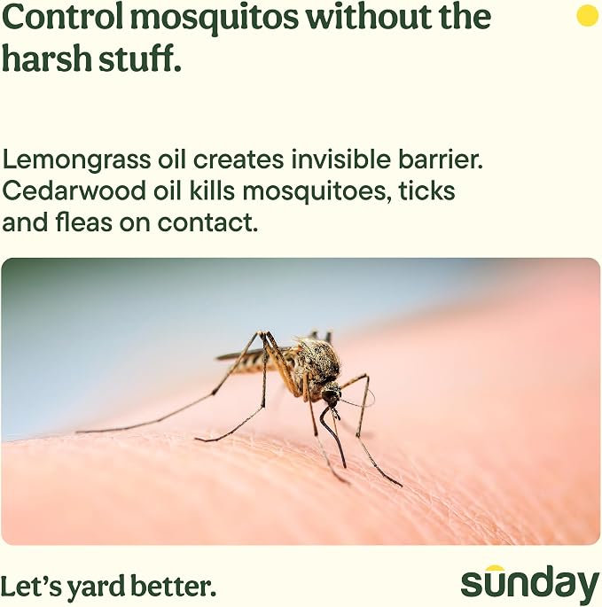 Sunday Mosquito Deleto - Mosquito Repellent & Bug Control Spray - Concentrated Lemongrass & Cedar Oils -for Mosquitoes, Fleas, & Ticks- Lasts up to 4 Weeks - Hose-On Sprayer, 32 Fl Oz, 2-Pack