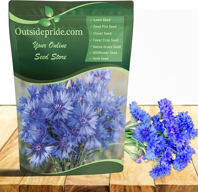 Outsidepride Blue Cornflower Seeds for Planting - 1/4 lb. Annual Bachelor's Button Flower Seeds for Cut Flower Gardens, Drought-Tolerant, Attracts Pollinators, Ideal for Borders & Bouquets