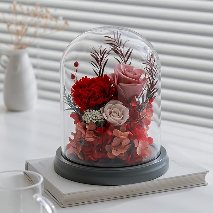 ZOOFOX Set of 2 Glass Dome Cloche with Black Wooden Base, 5.7" x 6.5" Decorative Bell Jar Display Dome for Plants, Fairy Lights, Photos, Succulents and Medals