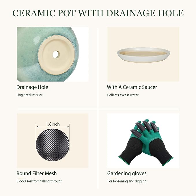 8.3 Inch Modern Ceramic Plant Pot with Drainage Hole and Mesh Net, Indoor Outdoor Planter with Saucer & Gardening Glove, Pots for Succulents, Flowers, Large Plants, Green