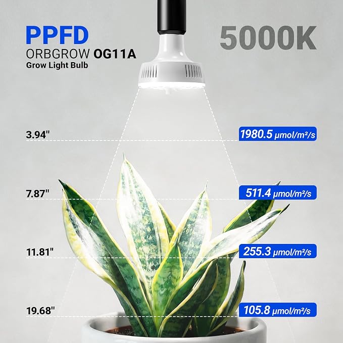 Barrina Orbgrow OG11A Grow Light Bulbs for Indoor Plants, Integrated Dimming & Timing, 5000K 44W(4 x 11W, 400 Watt Equiv), E26 Plant Light Bulb, Full Spectrum for Seeds and Greens, 4 Packs, White