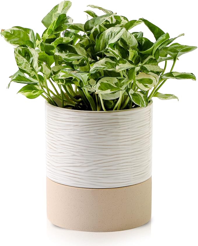 Nihow Ceramic Self Watering Plant Pot for Indoor Plants, 6 Inch,Cream White | Planter with Cotton Wick, Drainage Hole & Water Storage Plus, Cylinder Round Flower Pot, For Succulent/Herbs/Violets