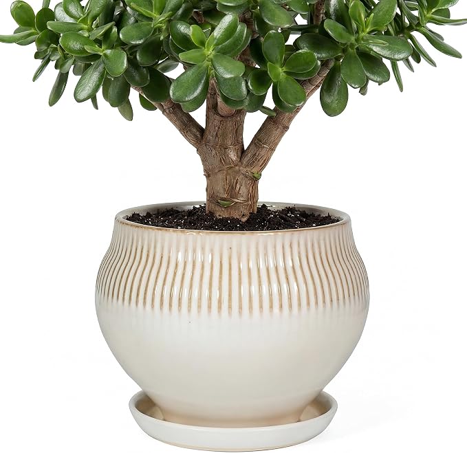 10.6 Inch Modern Ceramic Plant Pot with Drainage Hole and Mesh Net, Indoor Outdoor Planter with Saucer & Gardening Glove, Pots for Succulents, Flowers, Large Plants, White