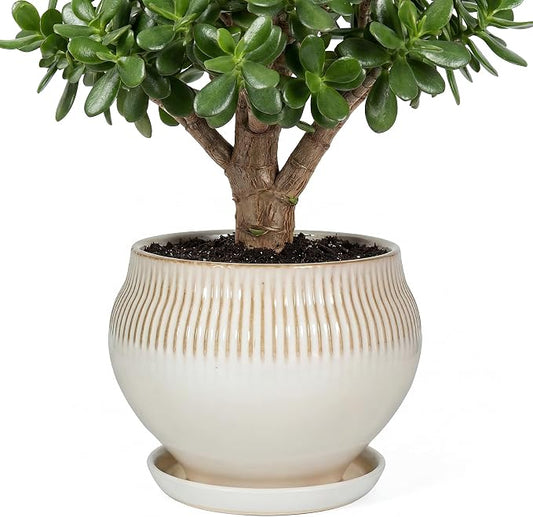 10.6 Inch Modern Ceramic Plant Pot with Drainage Hole and Mesh Net, Indoor Outdoor Planter with Saucer & Gardening Glove, Pots for Succulents, Flowers, Large Plants, White