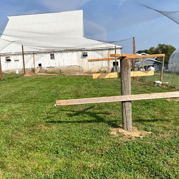 Junflying 25x50 FT Bird Netting for Chicken Coop, 1" Chicken Run Roof Cover | Woven Poultry Netting Against Hawks, Owls, Eagles & Predators, Large Net for Fruit Tree, Blueberry, Vegetable Protection