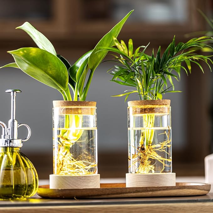 Glass Plant Propagation Stations, Propagation Vases for Plants with Ambient Light Base, Hydroponic Vase for Home & Office Windowsill Tabletop Decoration Desktop Vases for Living Room, Bedroom (4)