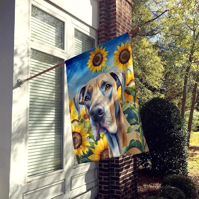 Caroline's Treasures DAC6092CHF Great Dane in Sunflowers House Flag Large Porch Sleeve Pole Decorative Outside Yard Banner Artwork Wall Hanging, Polyester, House Size, Multicolor