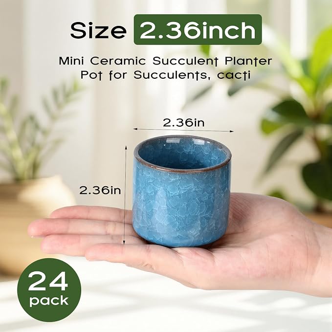 24 Pack 2.36 Inch Small Ceramic Succulent Planter Pot with Drainage Hole, Mini Ice Crack Glaze Flower Pots for Indoor Succulent Planters for Cactus Plant Lover Gifts for Women Mom Coworker
