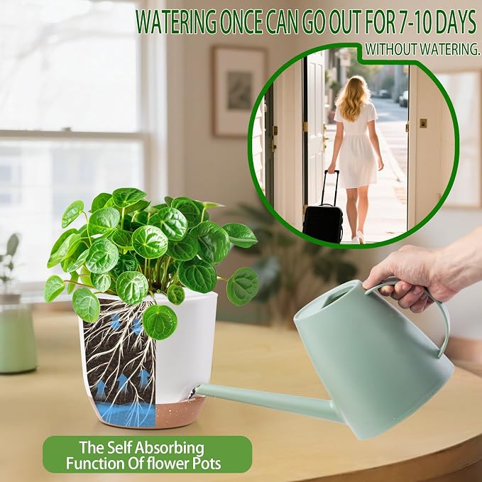 5Packs 7.2 Inch Self Watering Orchid Pots for Indoor Plants,Macetas para Orqudeas,Flower Pots for Indoor Plants with Holes（White）
