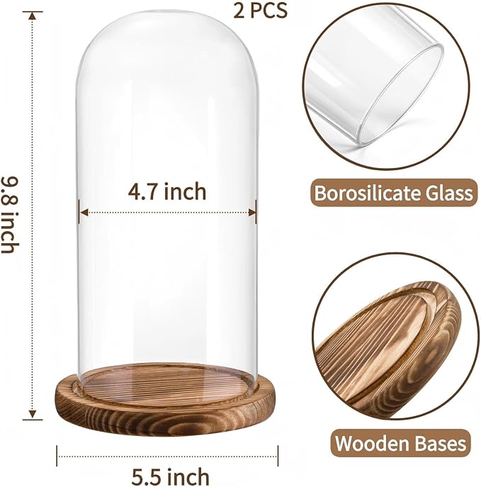2 Pack Glass Cloche Display Dome, 10 Inch Large Decorative Glass Bell Jar, Clear Dome Showcase with Dark Brown Wooden Base, for Plants, Medals, Photos, Antique Collectibles, Mother's Day