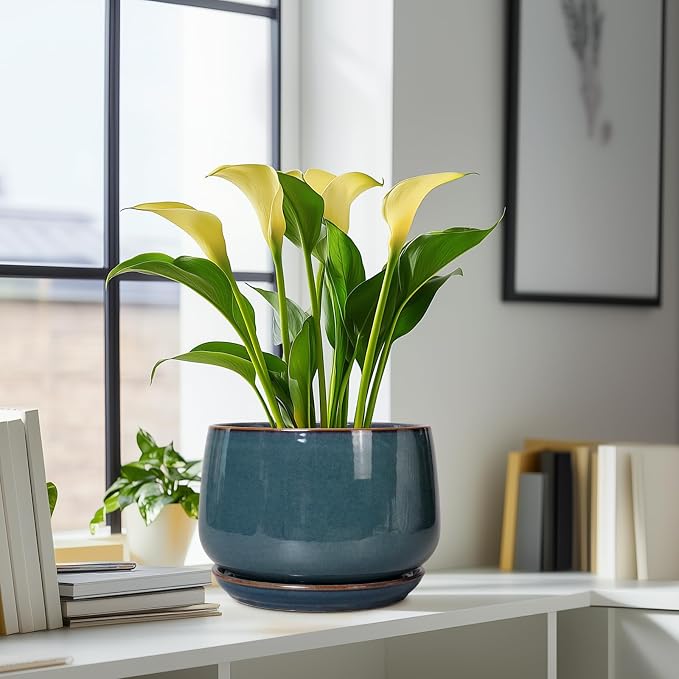 G EPGardening Ceramic Plant Pots - 9 Inch Round Modern Planter Indoor with Drainage and Tray for Indoor Outdoor Flower, Office Decor, Gardening Gifts, Retro Blue