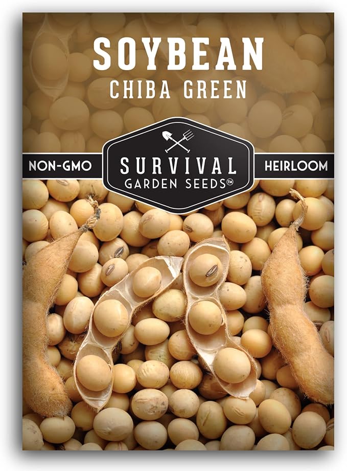 Chiba Green Edamame Seeds for Planting - Non-GMO Heirloom Soybean Variety for Vegetable Gardens - Tender Pods - Survival Garden Seeds (2 Packs)