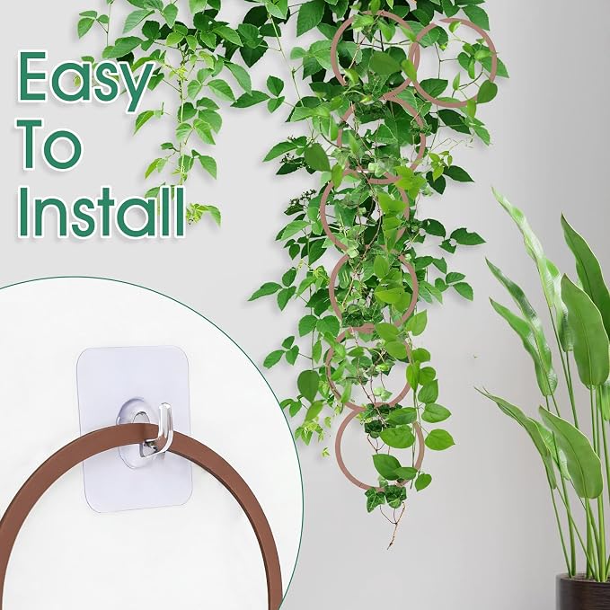 20pcs Round Chain Trellis for Climbing Plants Indoor, with 8pcs Self-Adhesive Hooks, HSSZXFR DIY Plant Climber Support for Vines and Garden Wall Trellis, for Monstera Pothos Ivy Flower