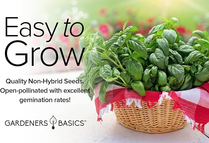 Gardeners Basics, Basil Seeds for Planting Home Garden - 8 Variety Herb Pack Genovese, Large Leaf, Lemon, Thai, Red Rubin, Cinnamon, Sweet and Purple Opal Basil Herb Seeds for Indoors & Outdoors