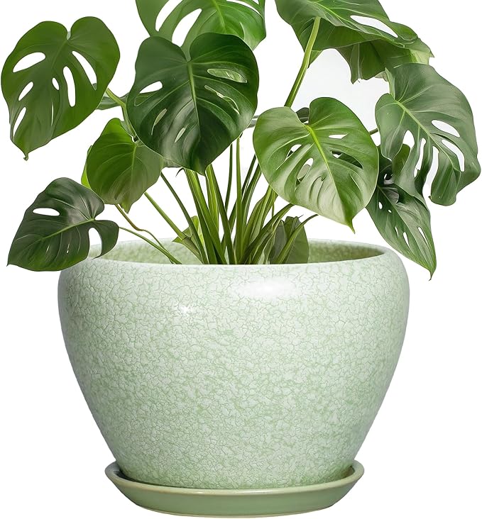 Ceramic Planter, 8 Inch, Crackle Light Green | Drainage Hole and Saucer, Indoor Outdoor Use, Decorative Flower Pot, Office Decor