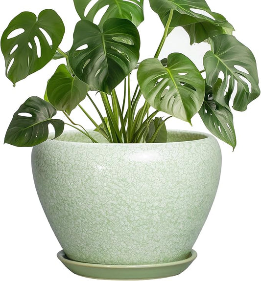Ceramic Planter, 8 Inch, Crackle Light Green | Drainage Hole and Saucer, Indoor Outdoor Use, Decorative Flower Pot, Office Decor