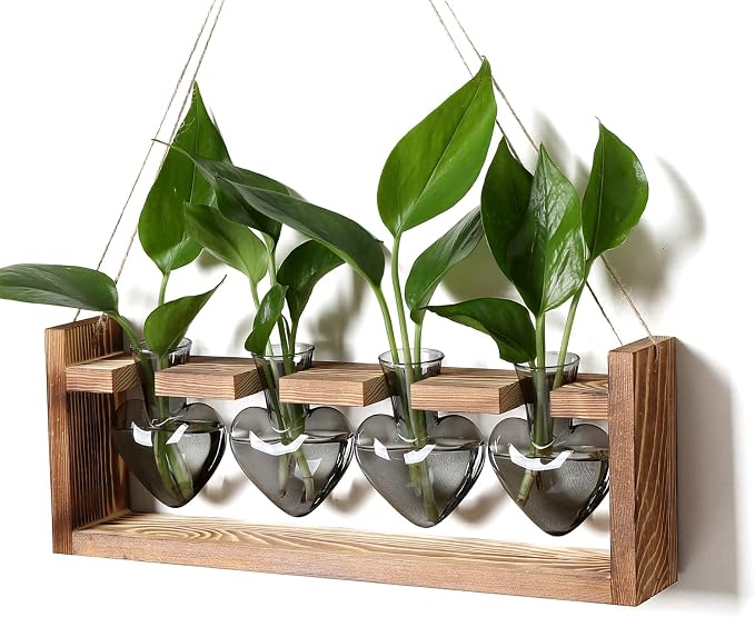 Plant Propagation Stations Heart Plant Terrarium Kit | Gift for Women Plant Lover Glass Vases