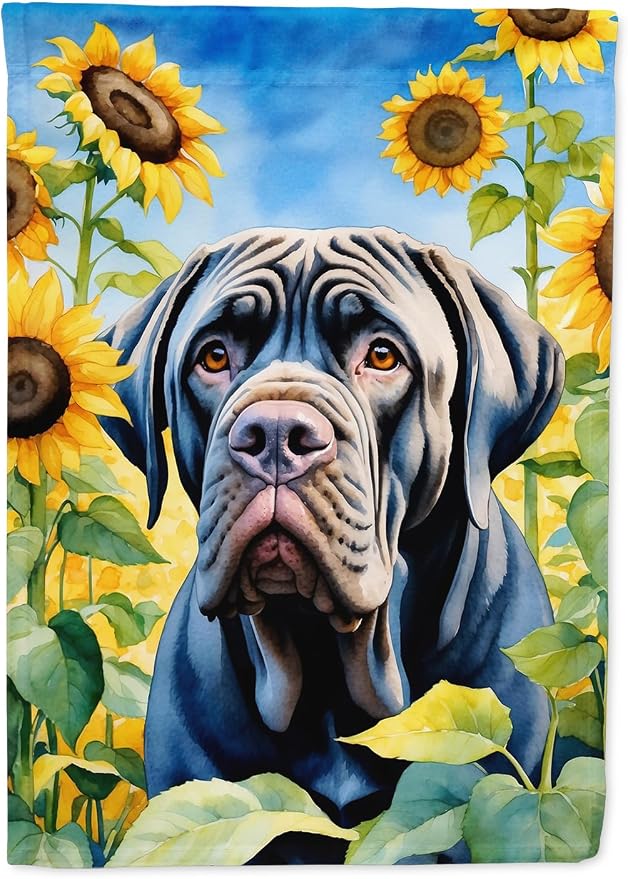 Caroline's Treasures DAC6122CHF Neapolitan Mastiff in Sunflowers House Flag Large Porch Sleeve Pole Decorative Outside Yard Banner Artwork Wall Hanging, Polyester, House Size, Multicolor