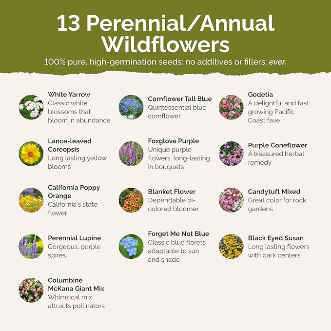 Eden Brothers Alaska Wildflower Mixed Seeds for Planting, 1 lb, 480,000+ Seeds with Yarrow, Foxglove, Cornflower | Attracts Pollinators, Plant in Spring or Fall, Zones