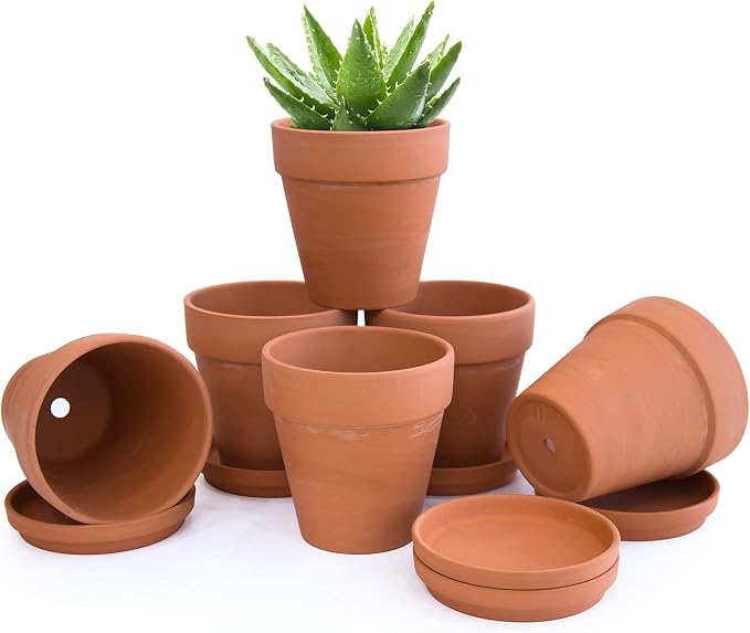 D'vine Dev Pack of 6 Terra Cotta Pots with Saucers, 5 Inch Clay Pots for Plants & Succulents, Terracotta