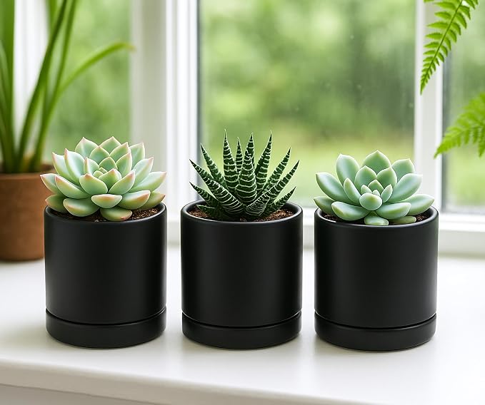 D'vine Dev 3.5 Inch Ceramic Planter Pot with Drainage Hole and Saucer, Indoor Cylinder Round Planter Pot, Black, 94-O-A-2