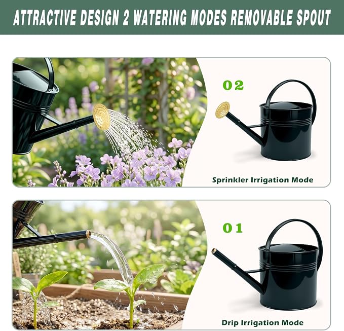 LONGRUN 2.5 Gallon Dark Green Metal Watering Can for Plants and Garden with Removable Spout, Made of Galvanized Iron