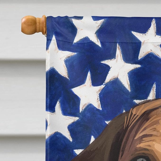 Caroline's Treasures CK6564CHF Hygenhund Dog American Flag House Flag Large Porch Sleeve Pole Decorative Outside Yard Banner Artwork Wall Hanging, Polyester, House Size, Multicolor