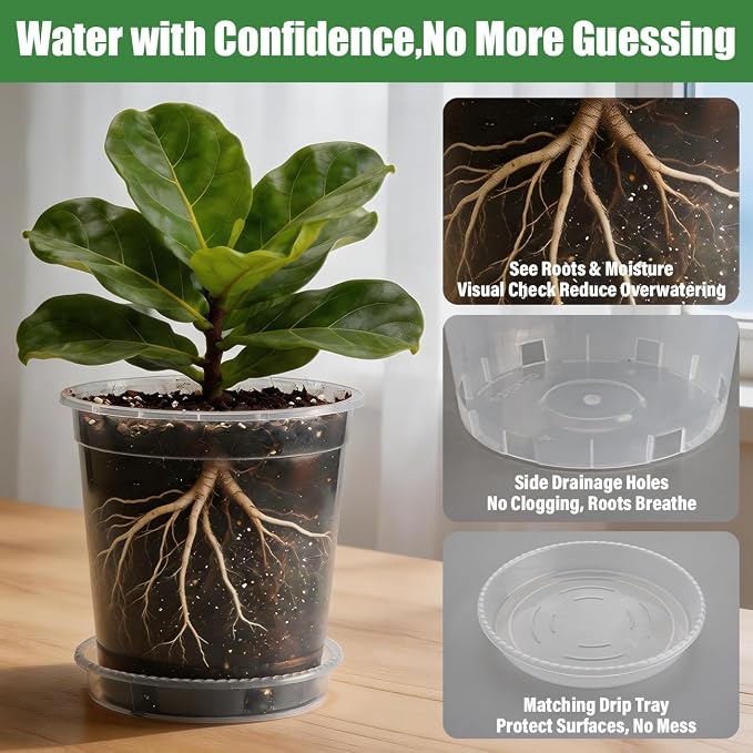 BTPLASTIK 1 Gallon Clear Nursery Pots with Saucers 10P, 6.5 Inch Round Plastic Plant Pots with Drainage Holes