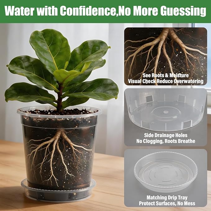 BTPLASTIK 5 Gallon Clear Nursery Pots with Saucers 5P, 12 Inch Round Plastic Plant Pots with Drainage Holes