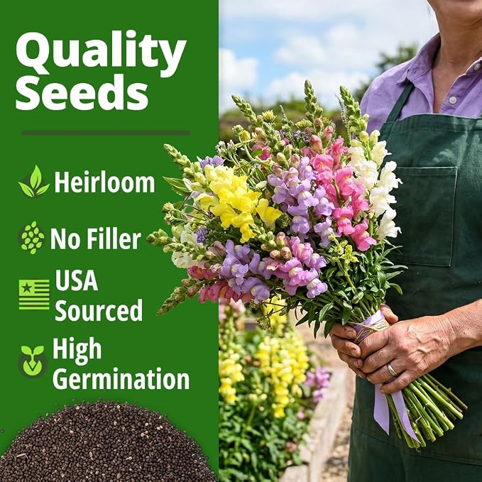 HOME GROWN Snapdragon Northern Lights Seeds, 10,000 Flower Seeds for Planting 2026 Spring, Pastel Garden Blooms of Snap Dragon, Pollinator Friendly Outdoor Cut Flowers (Antirrhinum majus)