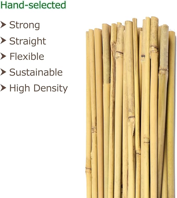 Cambaverd Bamboo Stakes for Plants, Natural Bamboo Plants Stakes 5 Feet, Garden Stakes for Climbing Plants Tomatoes, Beans, Potted Plants - 20Pcs Bamboo Poles (58in, Approx 5FT)