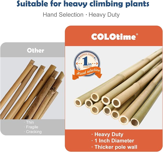 COLOtime 8FT Bamboo Stakes Plant Stakes 1 Inch Thick Diameter Garden Stakes Heavy Duty for Plant Support Outdoor Climbing Plants Support Gardening Stakes 10 Pack