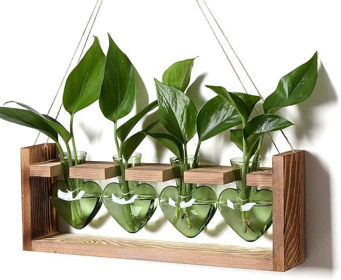 Plant Propagation Stations Heart Plant Terrarium Kit | Gift for Women Plant Lover Glass Vases
