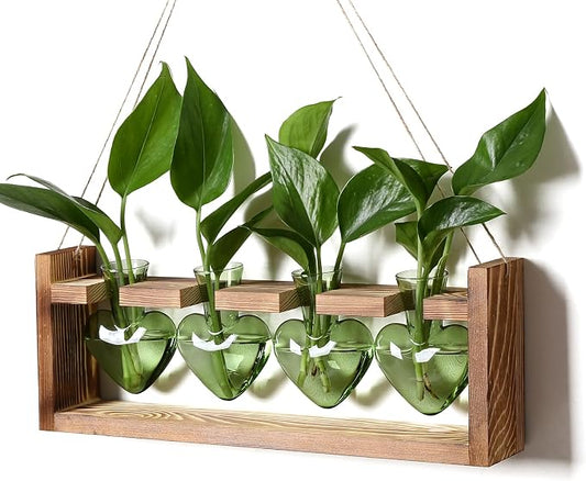 Plant Propagation Stations Heart Plant Terrarium Kit | Gift for Women Plant Lover Glass Vases