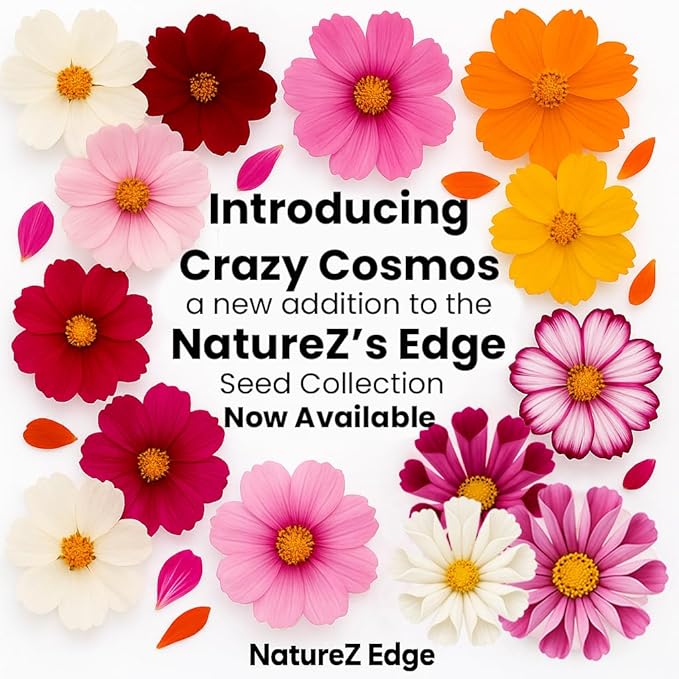 NatureZ Edge, Crazy Cosmos Seeds for 2026, 9450 Cosmos Seed, 2.25 oz, Made in USA, Annual Cut Flowers, Wildflower Seeds Bulk for Planting Flowers, Wild Flowers Seed Throw and Grow, semillas de Flores