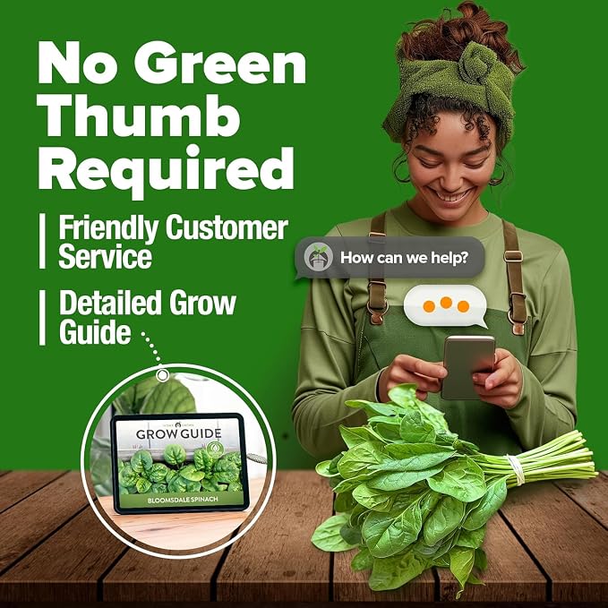 HOME GROWN Bloomsdale Spinach Seeds 353+ Non GMO Heirloom Seeds for Planting, High Germination, Cold Tolerant, Dark Green Crinkled Leaves, Fast Growing, Hydroponic & Garden (Spinacia oleracea)