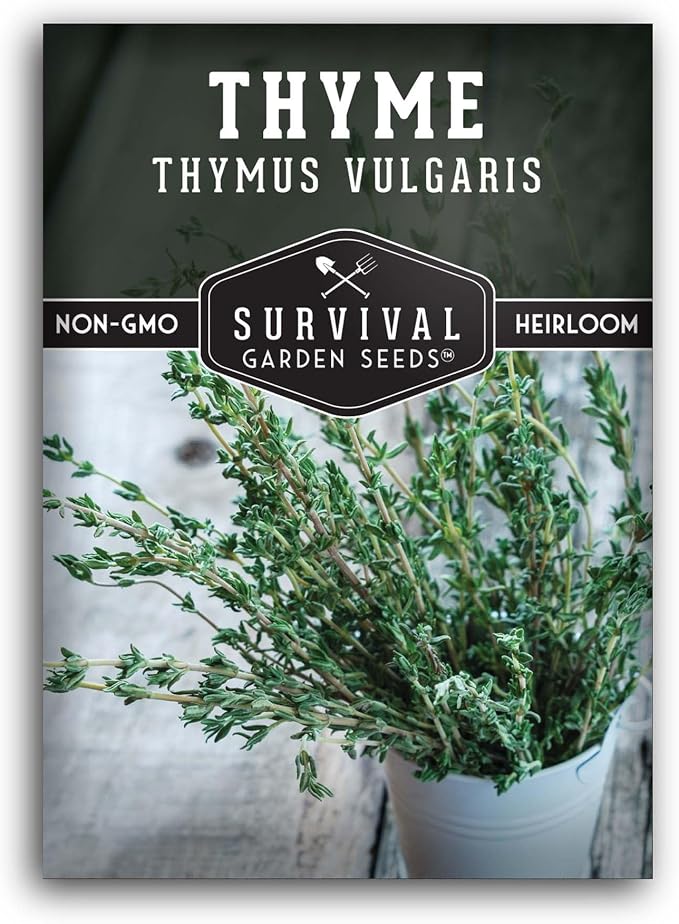 Thyme Seeds for Planting – Survival Garden Seeds (1 Pack) | English Thyme Seeds (Thymus Vulgaris) for Home Herb Gardens, Pots, and Kitchen Windowsills – Heirloom, Non-GMO